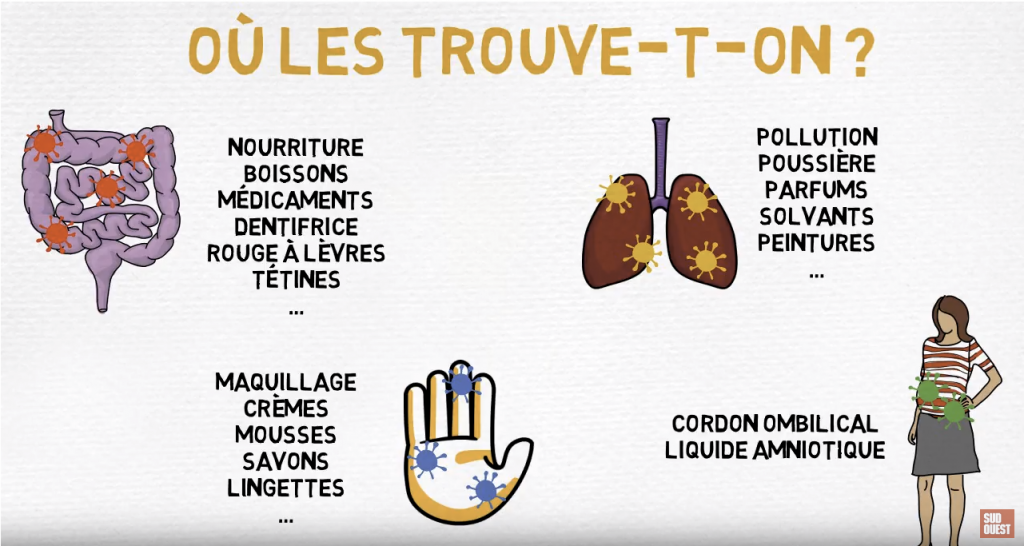 exposition aux perturbateurs endocriniens 