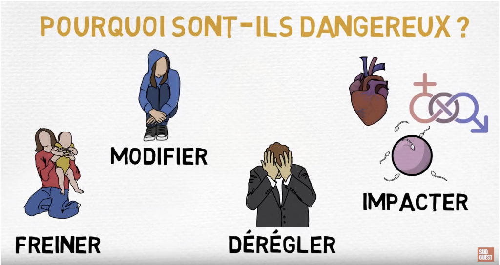 les perturbateurs endocriniens c'est quoi au juste